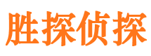 大厂找人公司